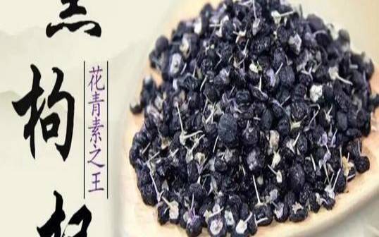 黑枸杞怎样泡水鉴别,黑枸杞泡水喝正确方法