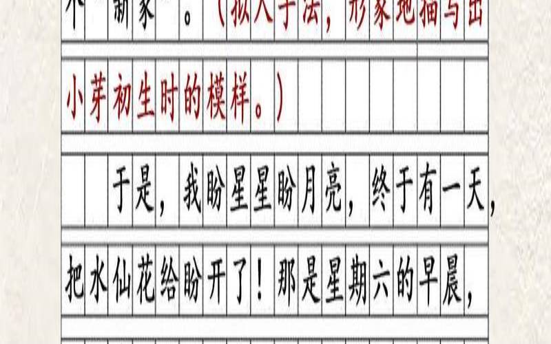 关于水仙花的散文三十字,水仙花的介绍20字 关于水仙花的散文三十字,水仙花的介绍20字