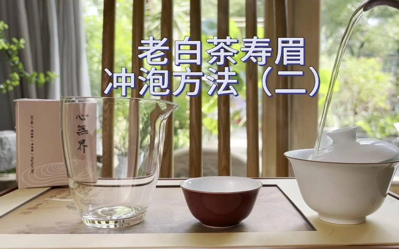 寿眉白茶怎么泡才正确方法,如何泡白茶泡茶基本步骤 寿眉白茶怎么泡才正确方法,如何泡白茶泡茶基本步骤