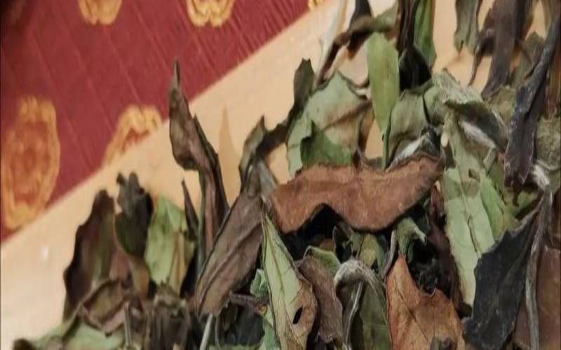 老白茶贵吗老白茶价格高吗,方守龙白茶为什么贵 老白茶贵吗老白茶价格高吗,方守龙白茶为什么贵