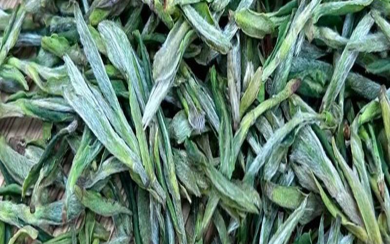 黄山毛峰鉴别品质好坏,正宗黄山毛峰茶颜色 黄山毛峰鉴别品质好坏,正宗黄山毛峰茶颜色