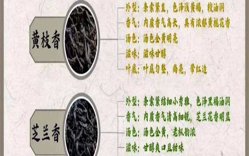 凤凰单丛茶叶介绍,凤凰单枞茶最贵的香型