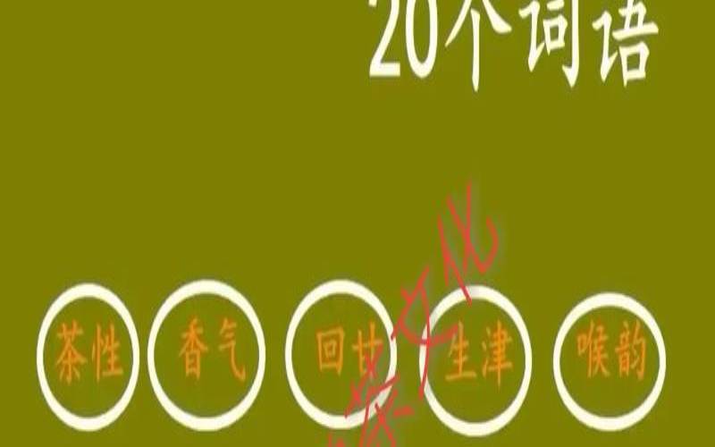 什么叫老茶叶,形容茶好喝的词语 什么叫老茶叶,形容茶好喝的词语