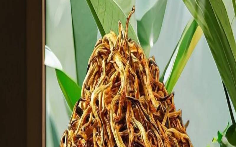 云南的知名茶叶类型是什么,云南最好的茶叶排名