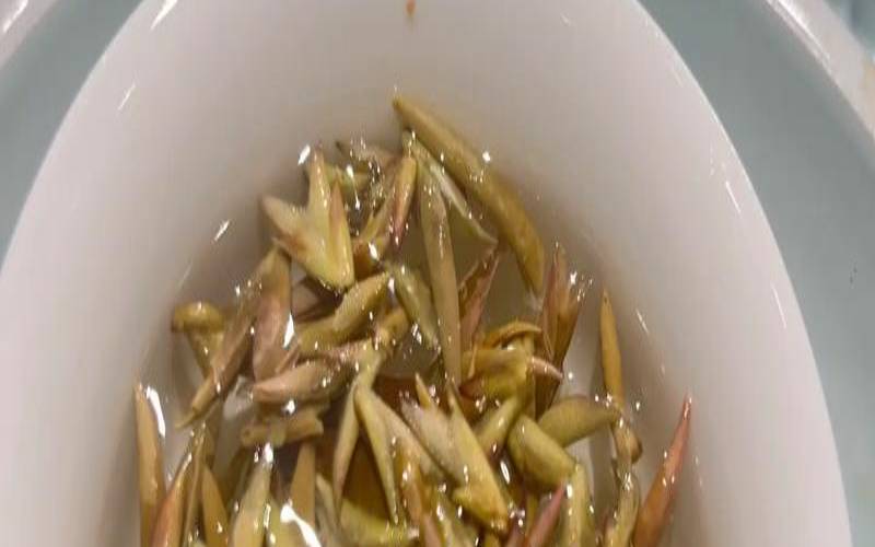 顾渚紫笋冲泡方法,紫色的笋叫什么