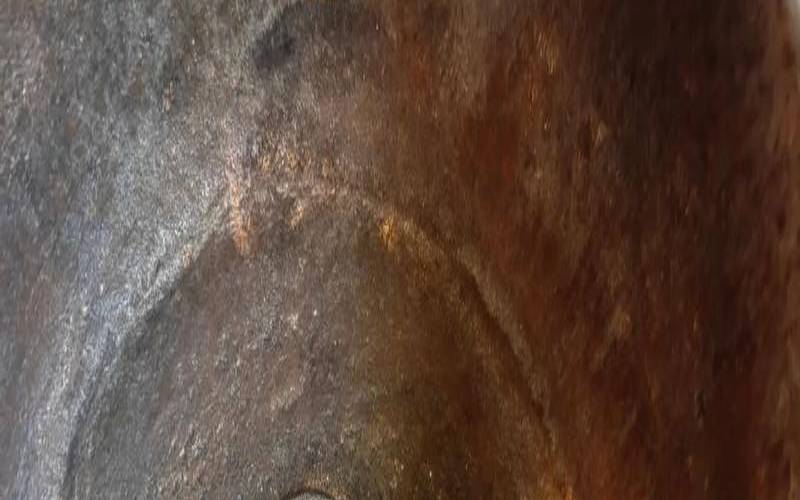 铁壶里面的锈怎么去除,铁壶生锈简单一招永不生锈 铁壶里面的锈怎么去除,铁壶生锈简单一招永不生锈