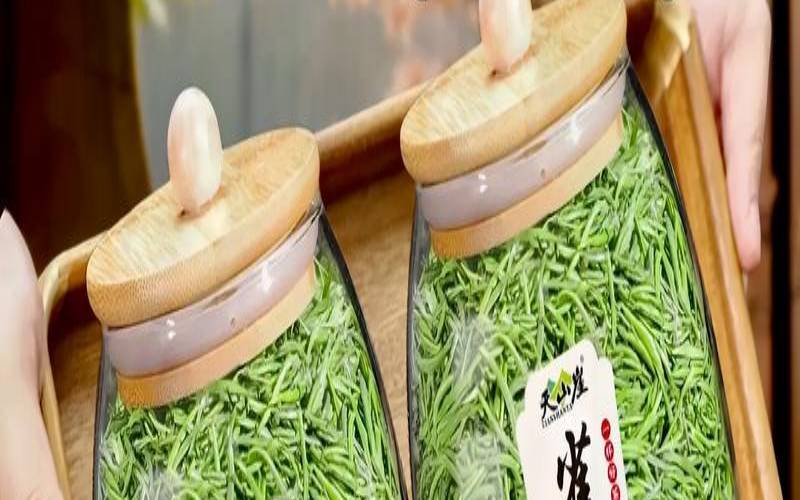 喝雀舌茶有什么功效与作用,女人喝雀舌茶好吗