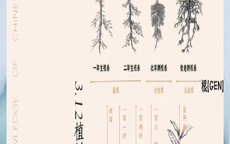 茶树根系发育的规律,影响茶树生长的因素有哪些