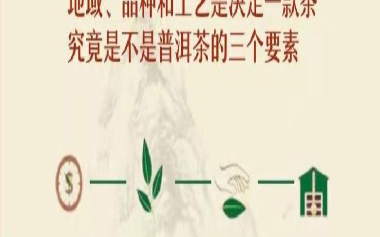 普洱茶的茶艺流程,了解普洱茶的必备知识