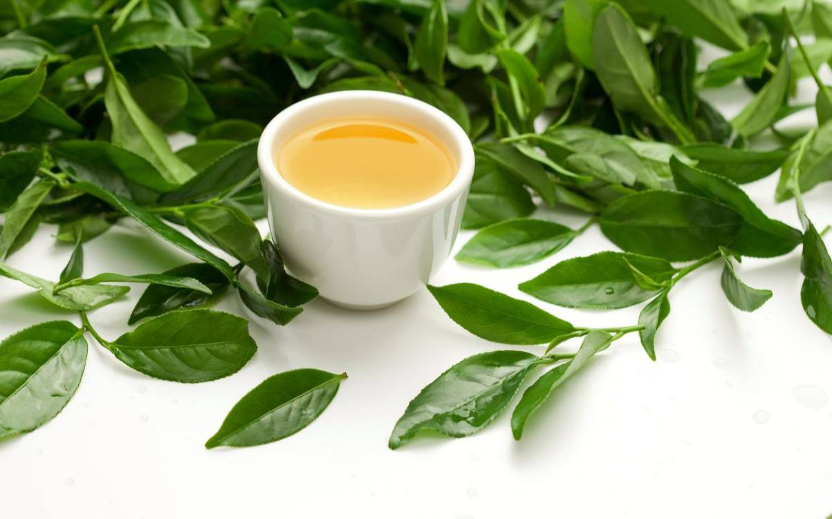 松柏常青中的常是什么意思,松溪绿茶是什么茶 松柏常青中的常是什么意思,松溪绿茶是什么茶