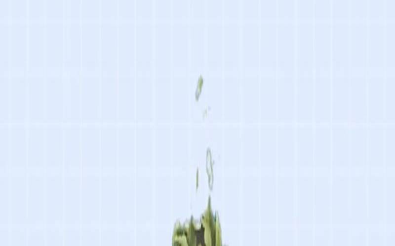 茶多酚是好还是不好呀,长期吃茶多酚好吗 茶多酚是好还是不好呀,长期吃茶多酚好吗