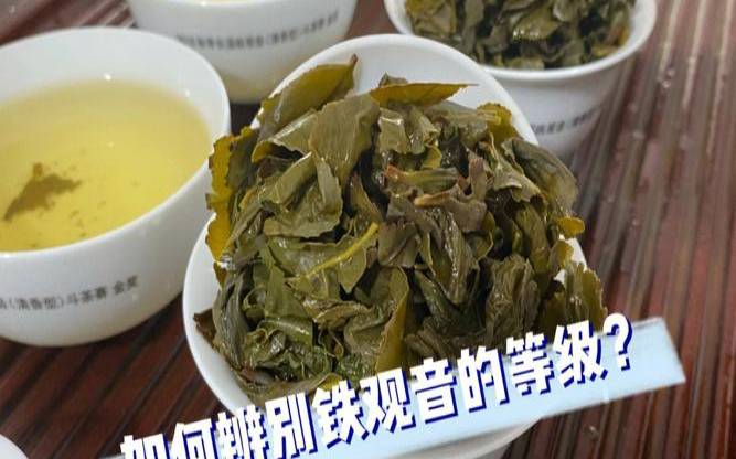 如何辨别茶叶的好坏,铁观音好坏怎么区别 如何辨别茶叶的好坏,铁观音好坏怎么区别