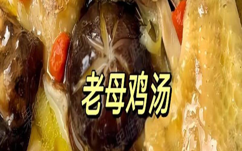 龙井的做法大全,老母鸡汤怎么炖好喝又营养