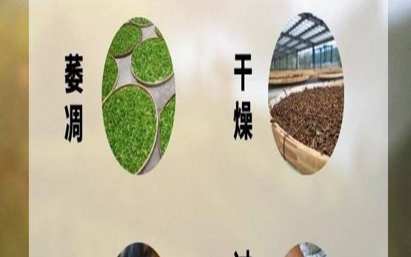 茶叶发酵过程,茶叶发酵是什么过程 茶叶发酵过程,茶叶发酵是什么过程