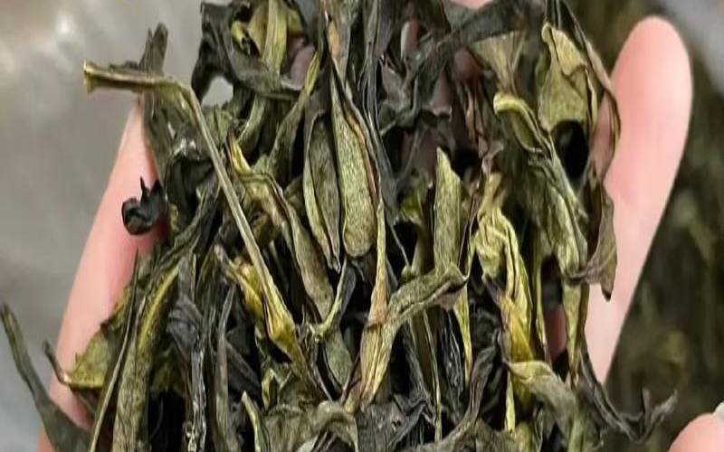 客家米茶的哪些地方有,像米的茶叫什么茶