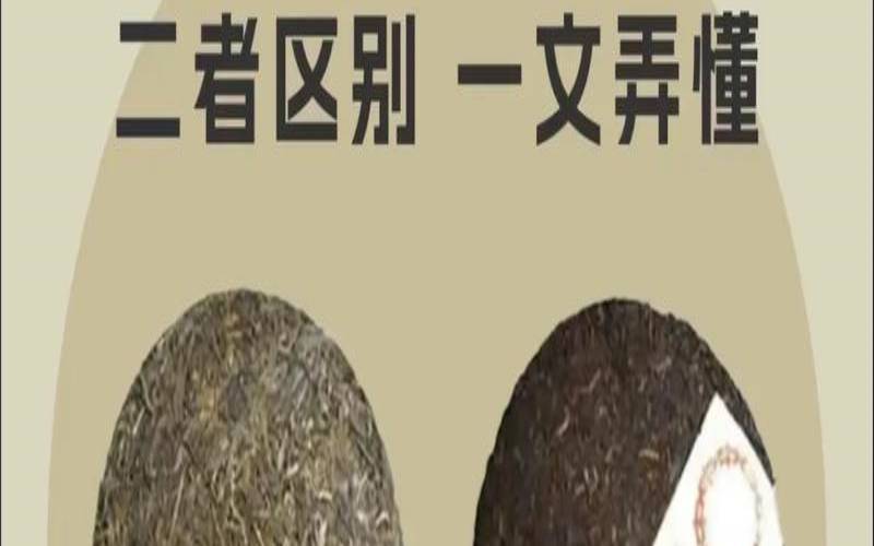 普洱生茶贵还是熟茶贵,普洱生茶和熟茶价格哪个高 普洱生茶贵还是熟茶贵,普洱生茶和熟茶价格哪个高