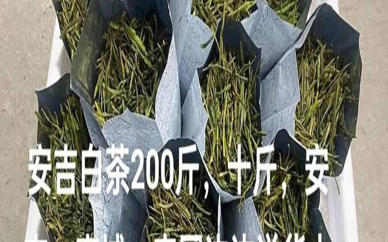 白茶价格差异这么大,白茶多少钱一斤正常