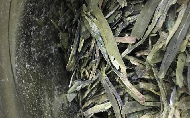 大宝山茶叶,大宝山茶业有限公司 大宝山茶叶,大宝山茶业有限公司