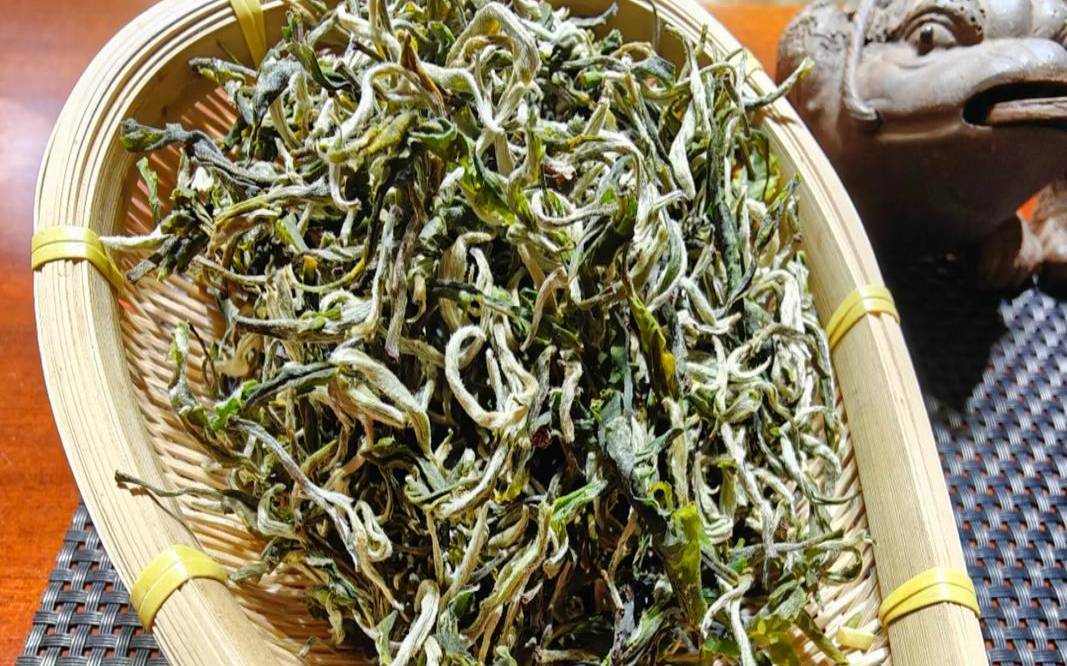 云南早春绿茶属于什么茶,绿茶分为哪几种茶