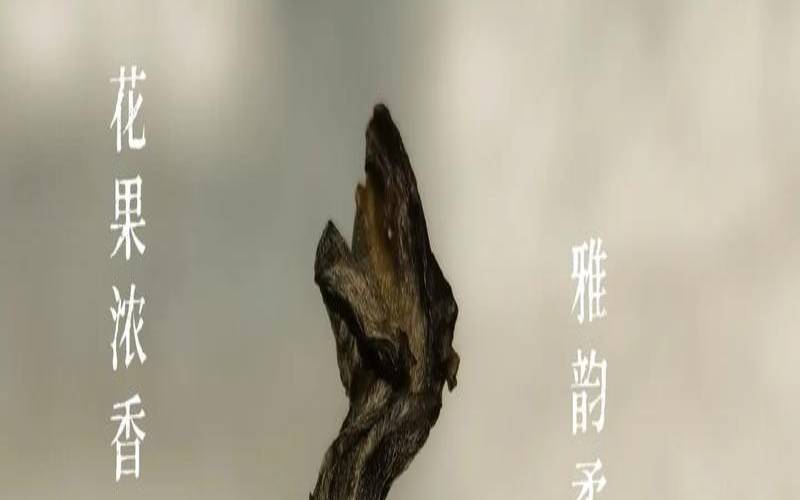 革登是哪里的茶,怎么去除皮革气味 革登是哪里的茶,怎么去除皮革气味