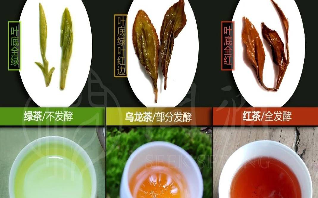 茶水怎么辨认绿茶和红茶,冬天喝红茶还是绿茶
