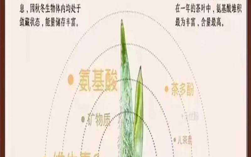 春茶指什么茶,春茶是什么茶是绿茶吗 春茶指什么茶,春茶是什么茶是绿茶吗
