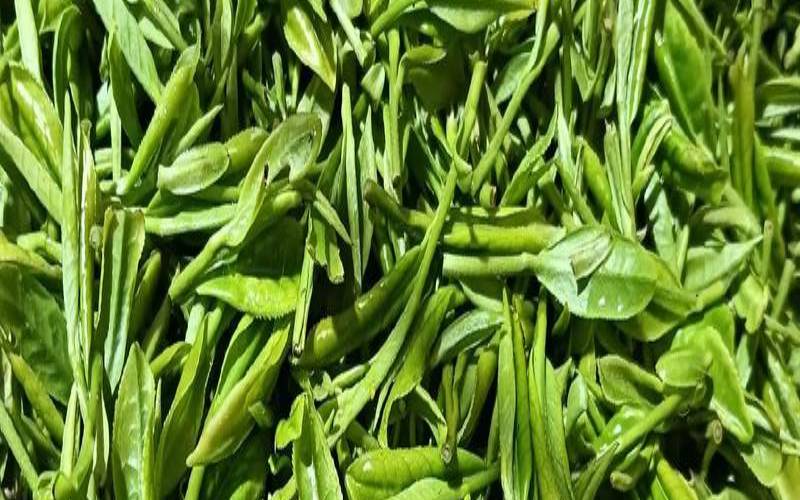 某商店经营一种小商品,绿茶是我国独有的茶 某商店经营一种小商品,绿茶是我国独有的茶