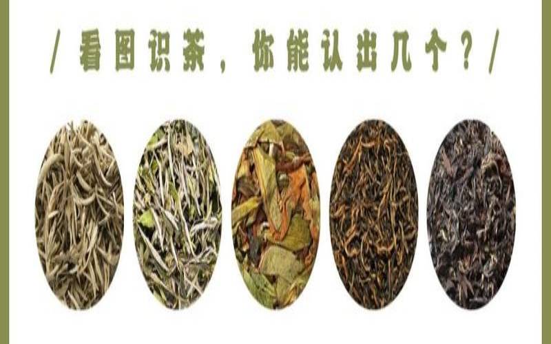 铁观音和碧螺春哪个耐泡,铁观音和大红袍哪个好