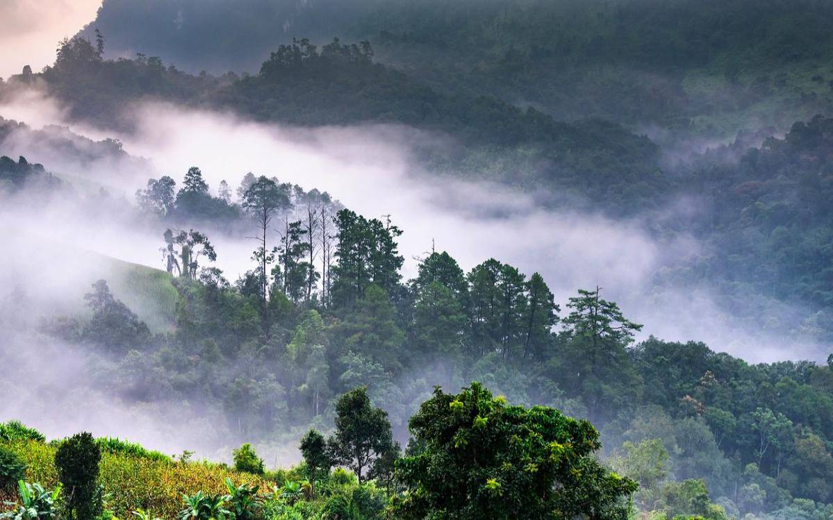 景迈山天气预报一周7天,普洱景迈山在哪里