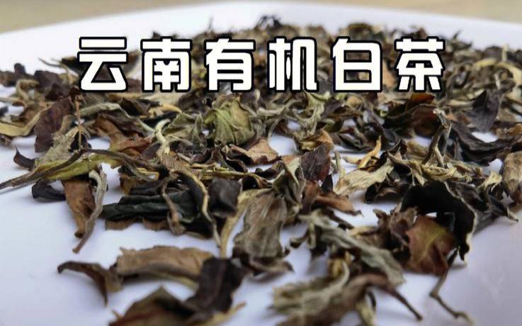 富硒有机茶价钱最好的富硒白茶价格，富硒有机茶价钱