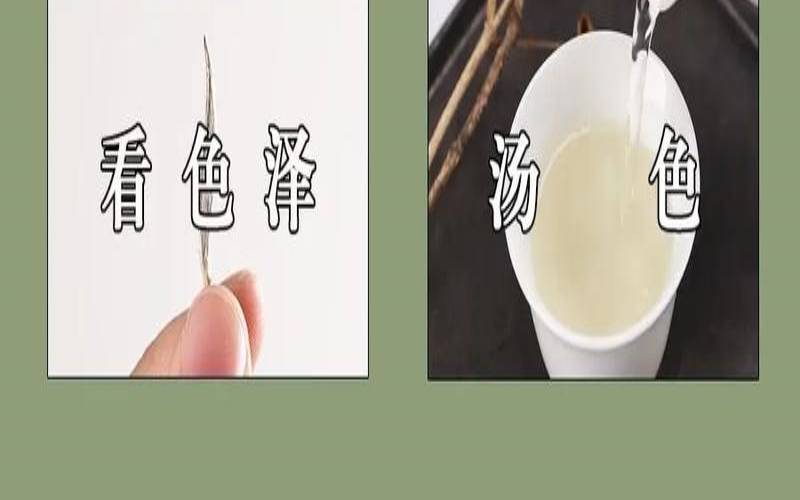 福鼎白茶散茶怎么存放最好,福鼎白茶的泡法