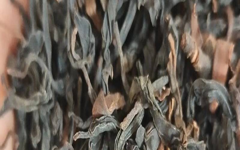 果树茶叶有什么功用,云南大树红茶属于什么茶 果树茶叶有什么功用,云南大树红茶属于什么茶
