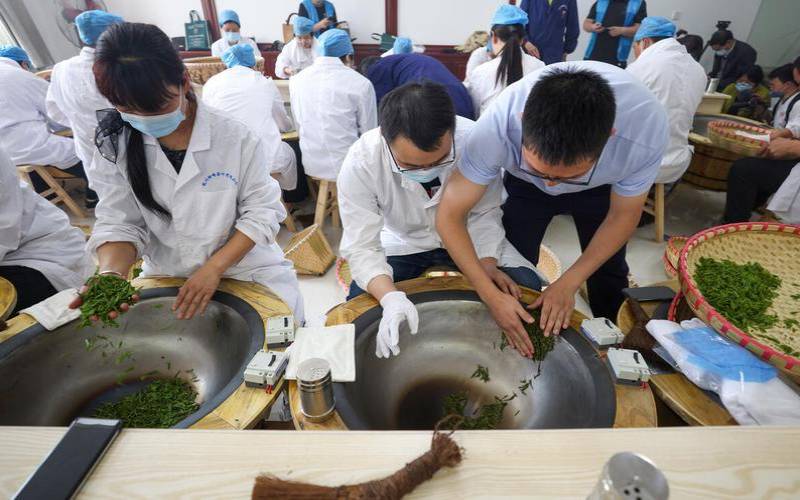 茶叶怎么炒制工序,龙井茶炒制的基本工序