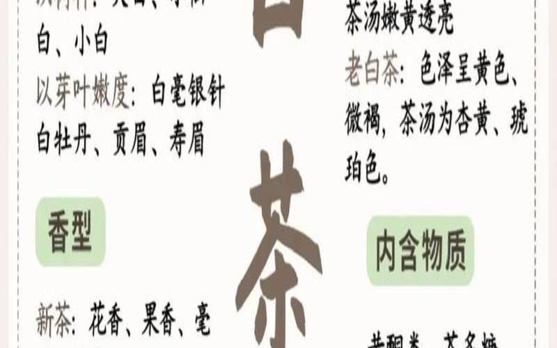 白茶的相关知识,白茶知识大全