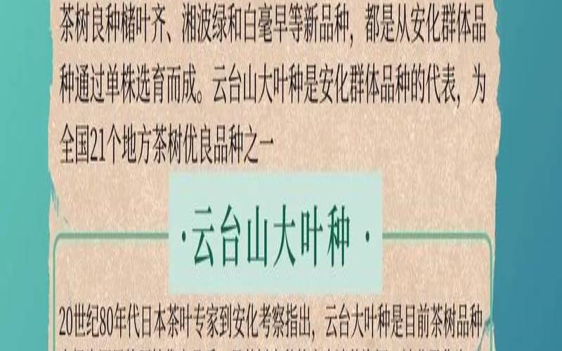 黑茶要什么品种的茶树，安化黑茶的树种是什么树种