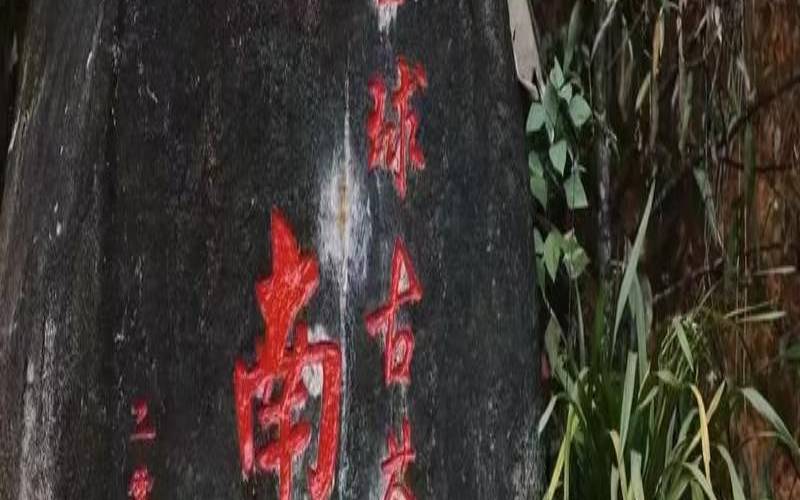 布朗山普洱茶有哪些名山寨,南糯山普洱茶特点