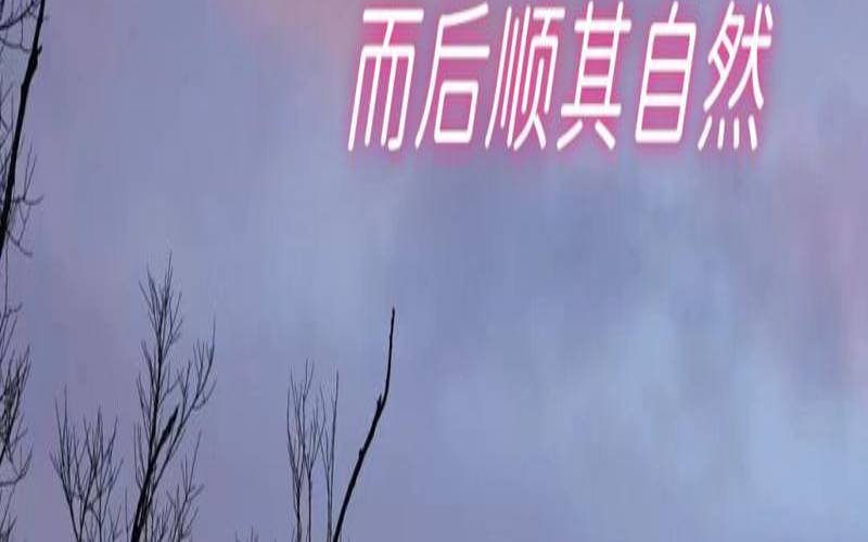 放过自己过好当下,凡事尽心尽力而后顺其自然 放过自己过好当下,凡事尽心尽力而后顺其自然