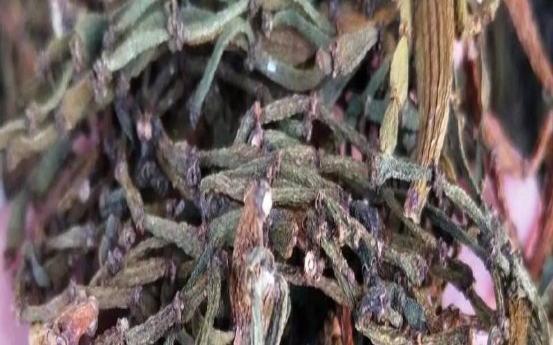 景迈螃蟹脚的功效与作用,景迈螃蟹脚的功效与作用