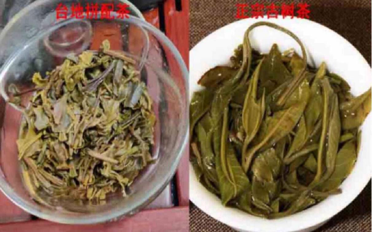 现在可以种茶叶吗北方,台地茶的鉴别方法