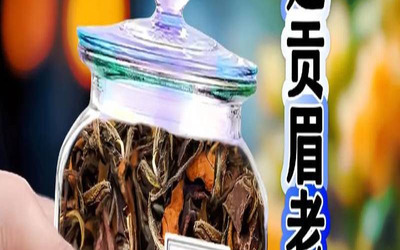 福鼎白茶怎么沏茶,贡眉白茶怎么泡