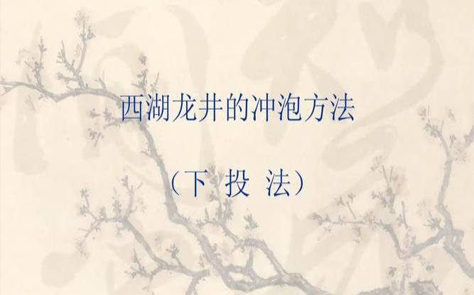 西湖龙井的冲泡要点,龙井怎么泡比较好