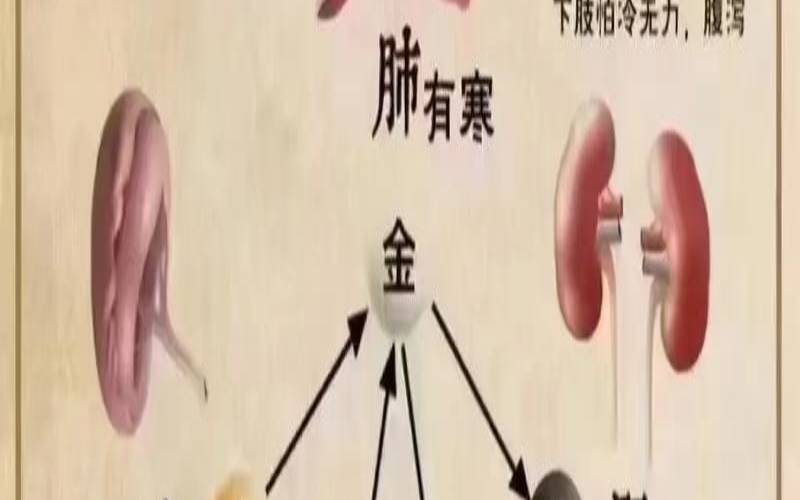 茶道五怨堪比窦娥,茶道五境内容 茶道五怨堪比窦娥,茶道五境内容