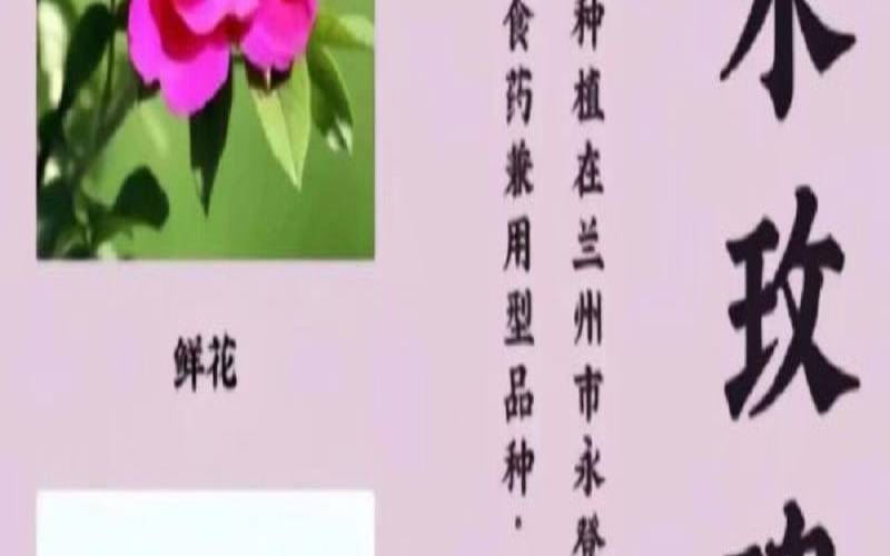 吃玫瑰花茶的好处,喝玫瑰花茶禁忌 吃玫瑰花茶的好处,喝玫瑰花茶禁忌