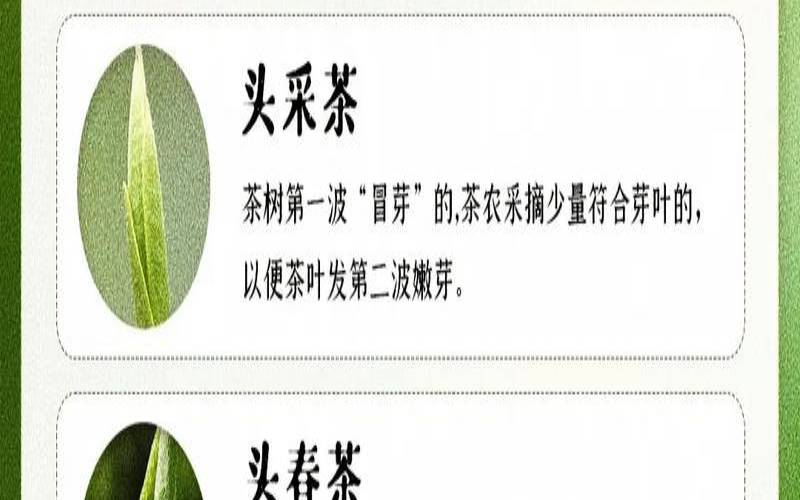 为什么明前茶卖的特别贵,明前茶贵还是明后茶贵 为什么明前茶卖的特别贵,明前茶贵还是明后茶贵
