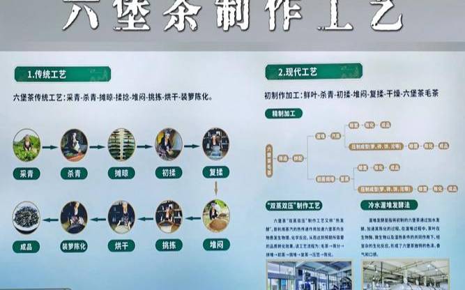 六堡茶怎么制作的,六堡茶怎么煮 六堡茶怎么制作的,六堡茶怎么煮