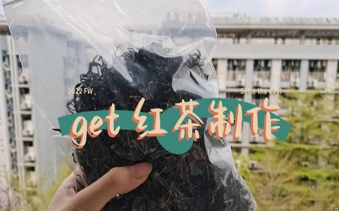 微生物参与发酵的茶,形成红茶品质的关键工序是