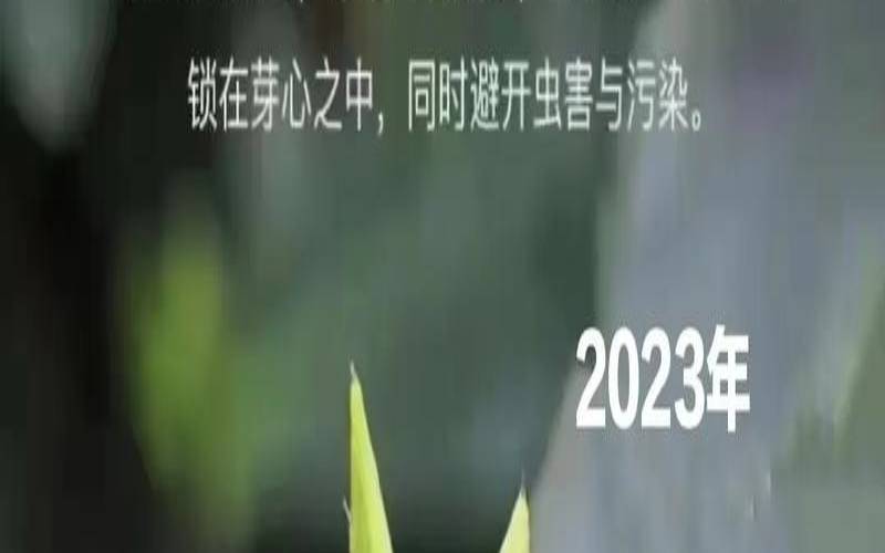 龙井茶的历史文化传承,贵州龙井茶简介 龙井茶的历史文化传承,贵州龙井茶简介