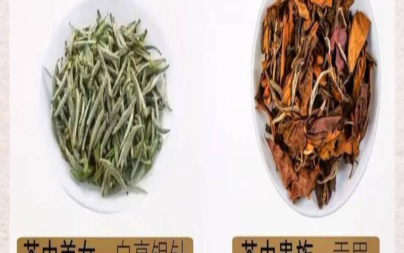 白茶冲泡方法步骤,白茶的正确冲泡及饮用方法