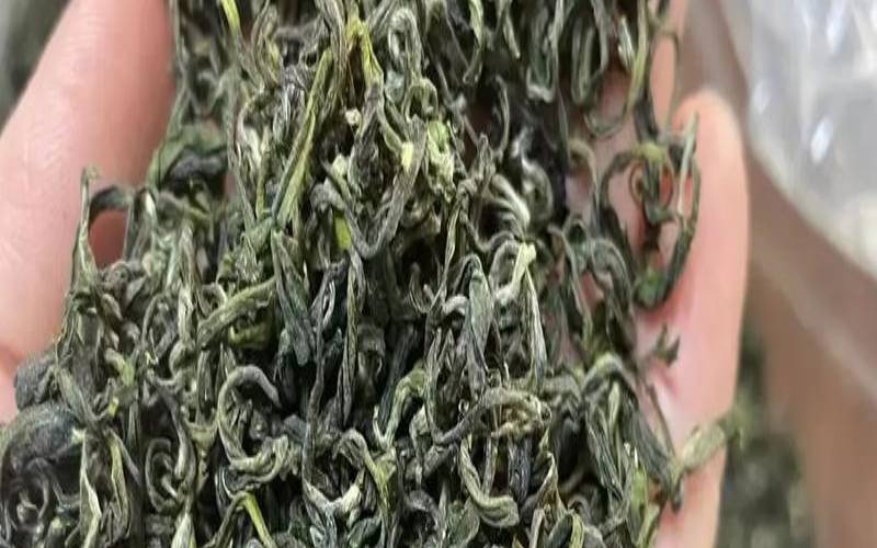狗牯脑最贵多少钱一斤,狗牯脑茶1915多少钱 狗牯脑最贵多少钱一斤,狗牯脑茶1915多少钱