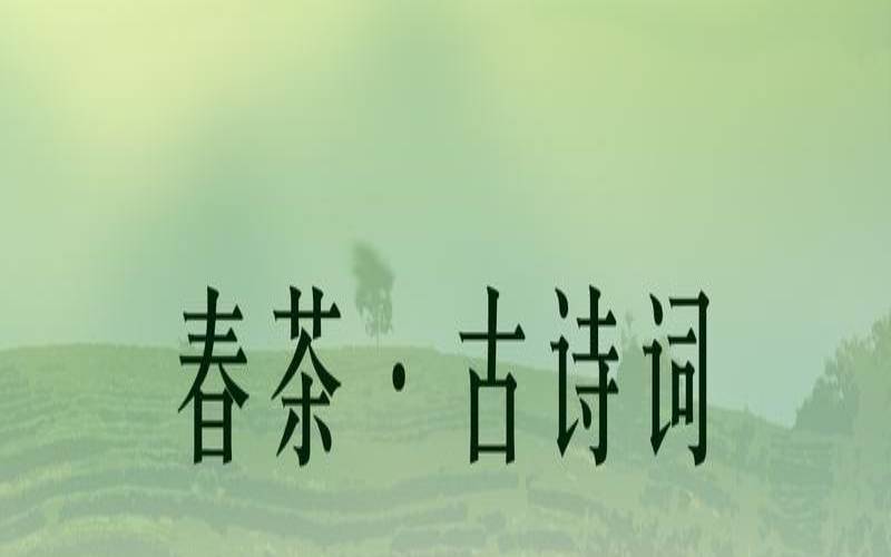 唐代关于茶的诗词,关于春茶的诗句